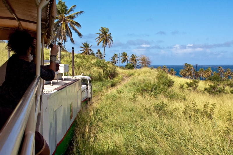 _MG_4149-110.jpg - View from St Kitts Sugarcane train