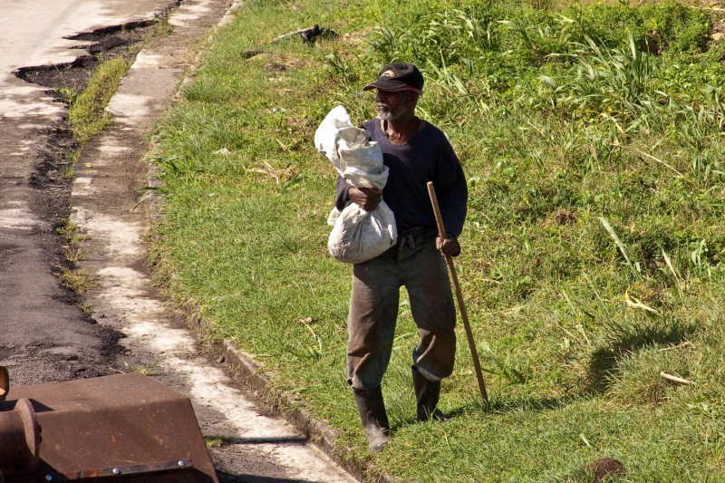 _MG_4166-114.jpg - View from St Kitts Sugarcane train