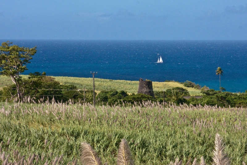 _MG_4195-119.jpg - View from St Kitts Sugarcane train