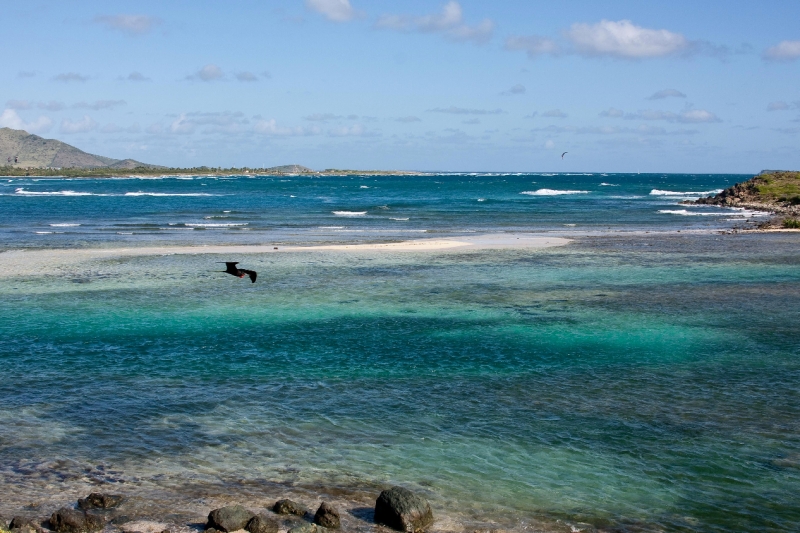 _MG_4271-136.jpg - Simpson Bay