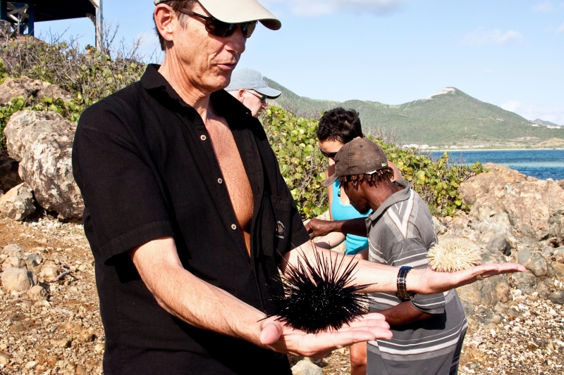 _MG_4276-137.jpg - sea urchins