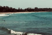 IMG 4947