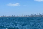IMG 2958