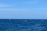 IMG 2964