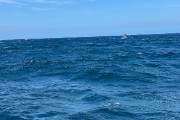 IMG 3009