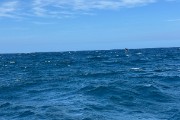 IMG 3010