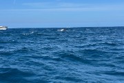 IMG 3016