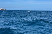 IMG 3017