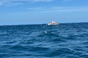 IMG 3022