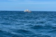 IMG 3024