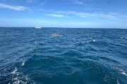 IMG 3060