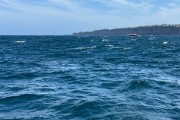 IMG 3075