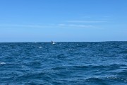 IMG 3083