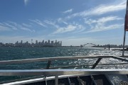 IMG 3087