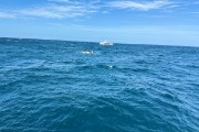 IMG 4917
