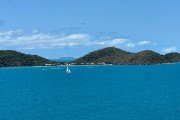 IMG 3138