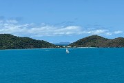 IMG 3139