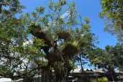 IMG 4983