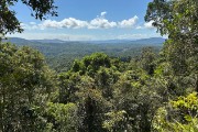 IMG 4996
