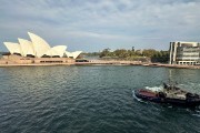 IMG 3118