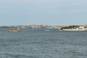 IMG 4957