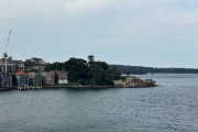IMG 4959