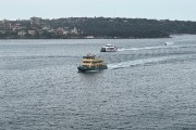 IMG 4965