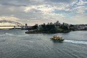 IMG 4966