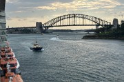 IMG 4967