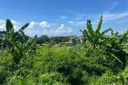IMG 3234