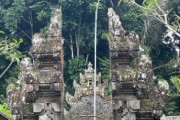 IMG 3364