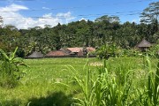 IMG 3380