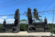 IMG 3390