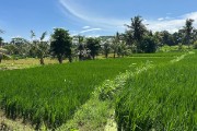 IMG 3404