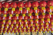 IMG 3845