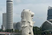 IMG 5309
