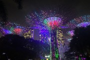 IMG 3735
