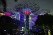 IMG 5243