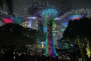 IMG 5248