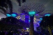 IMG 5252
