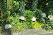 IMG 3507