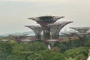 IMG 3559