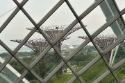 IMG 3565