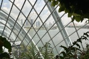 IMG 5085