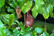 IMG 5087