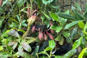 IMG 5089