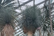IMG 3577