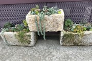 IMG 3592