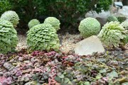 IMG 3598