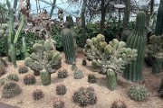 IMG 5139